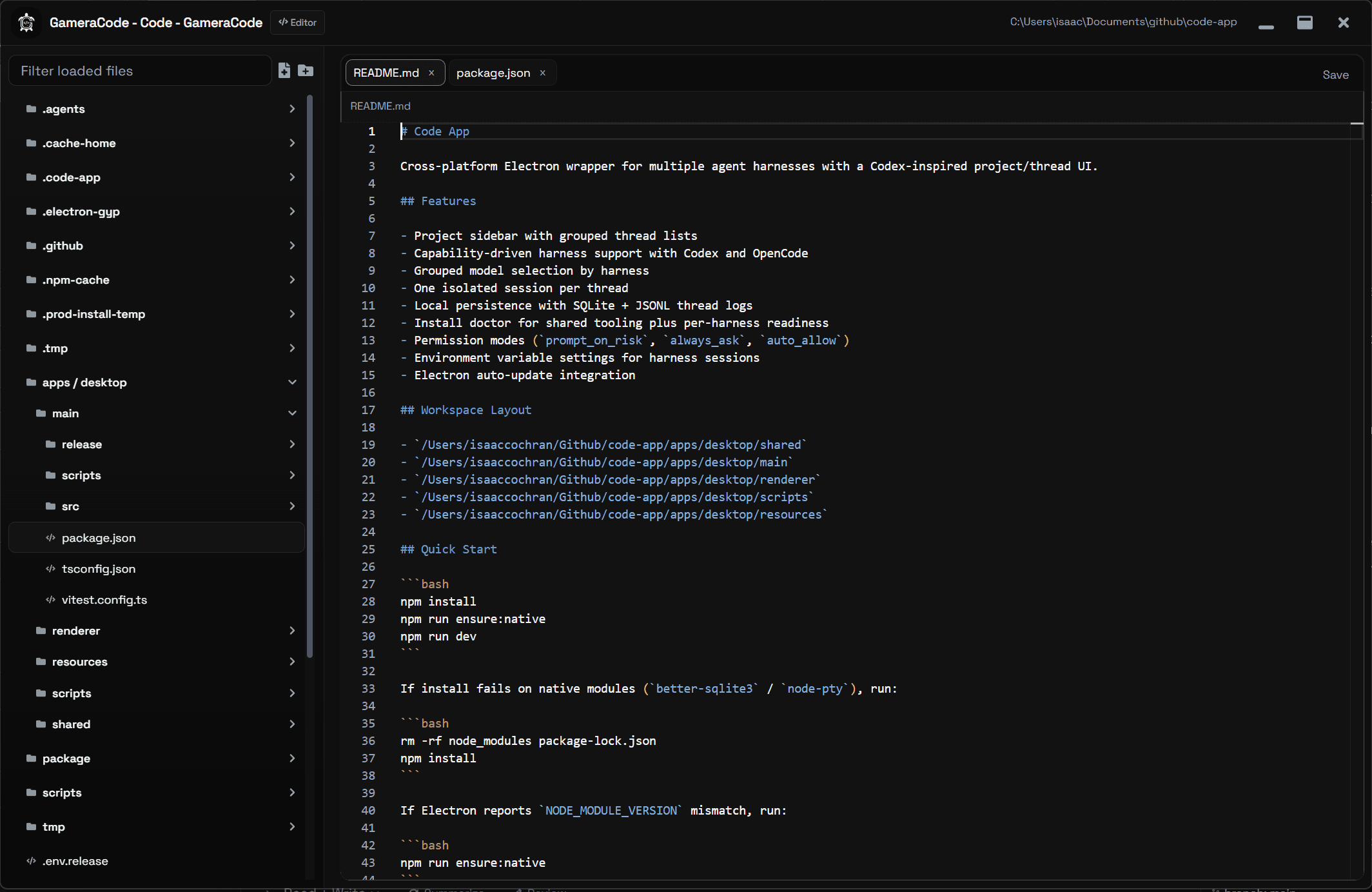 GameraCode code editor and workspace layout